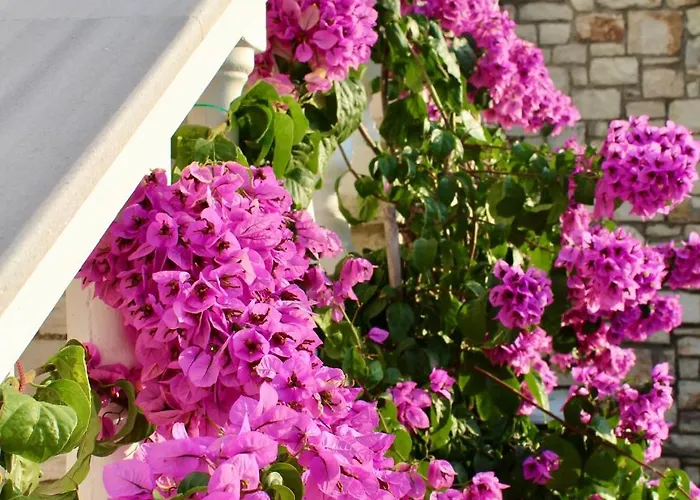 Elizabeth Appart hôtel 4*