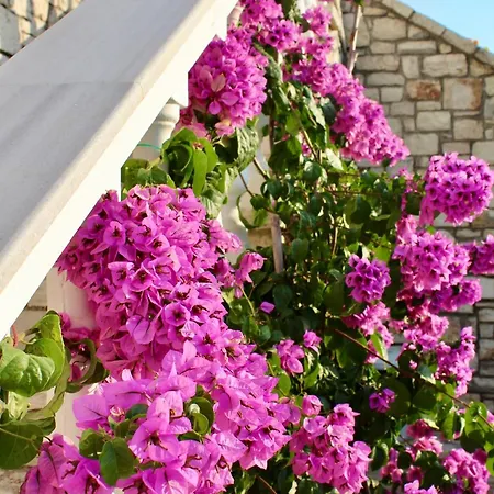 Elizabeth Hotel apartamentowy 4*