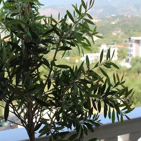 Hotel apartamentowy Elizabeth Himara