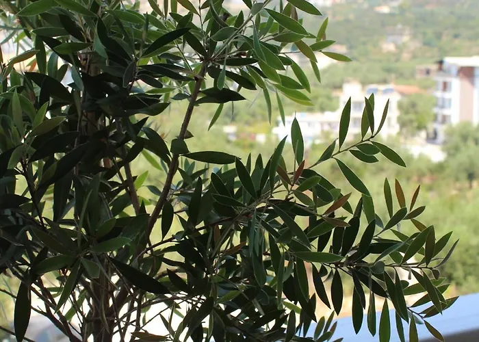 Aparthotel Elizabeth Himare